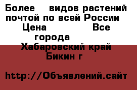 Более200 видов растений почтой по всей России › Цена ­ 100-500 - Все города  »    . Хабаровский край,Бикин г.